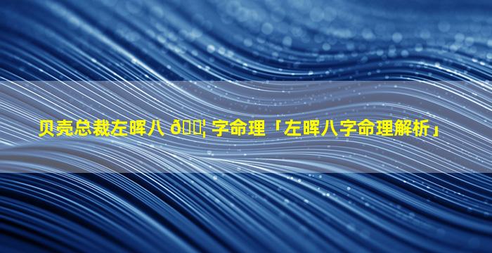 贝壳总裁左晖八 🐦 字命理「左晖八字命理解析」